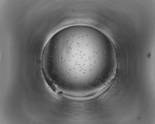 X0000091241532200708161726