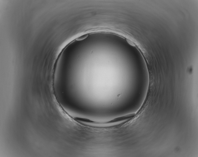 X0000091241534200708161726
