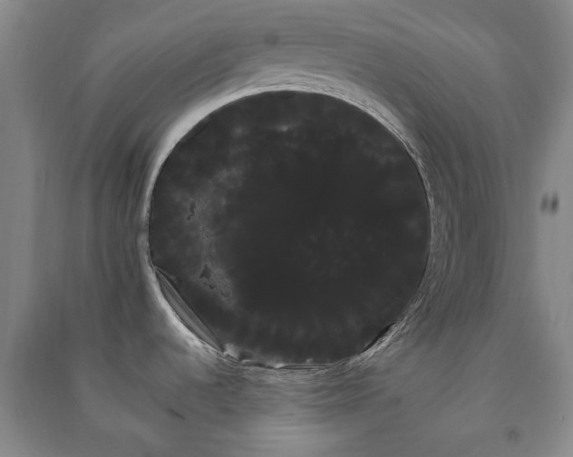 X0000091241536200708161726