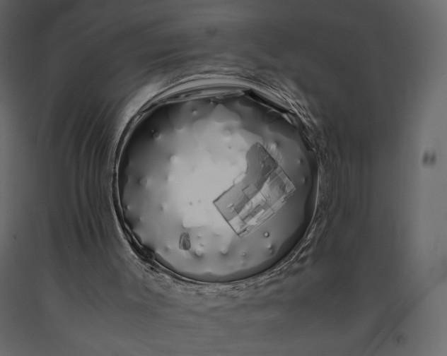 X0000091240003200708231728