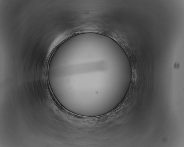 X0000091240004200708231728