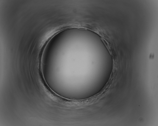 X0000091240005200708231728