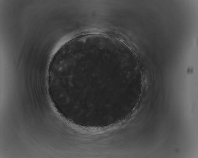 X0000091240006200708231728