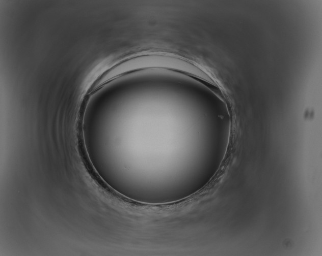 X0000091240007200708231728