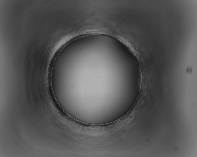 X0000091240008200708231728