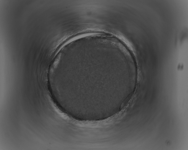 X0000091240009200708231728