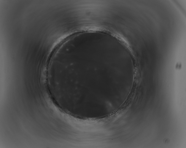X0000091240012200708231728