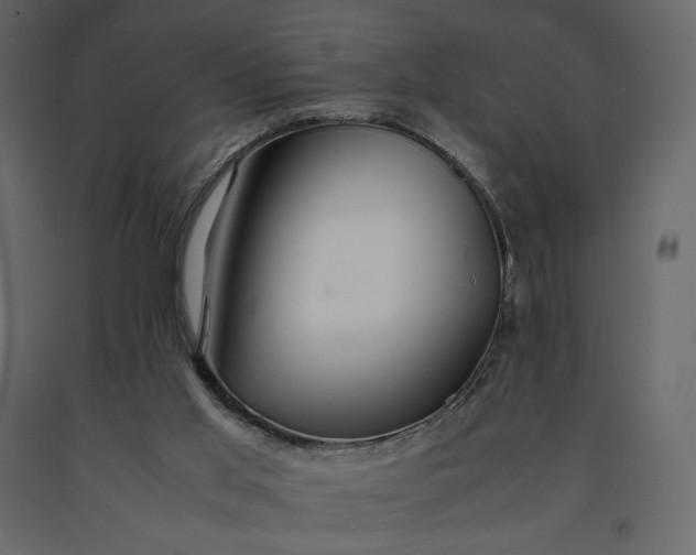 X0000091240013200708231728