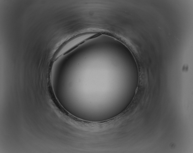 X0000091240015200708231728