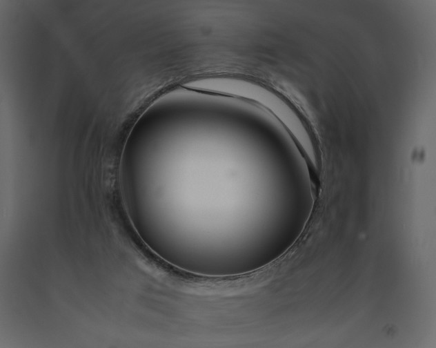 X0000091240017200708231728