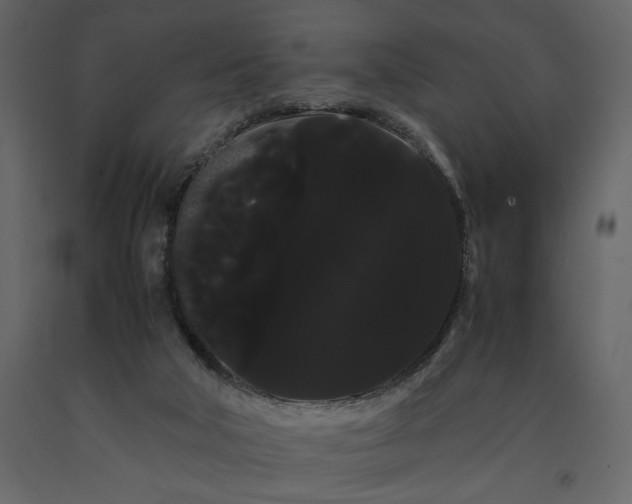 X0000091240018200708231728