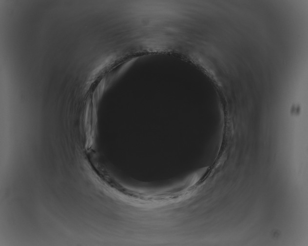 X0000091240019200708231728