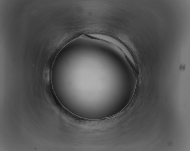 X0000091240021200708231728