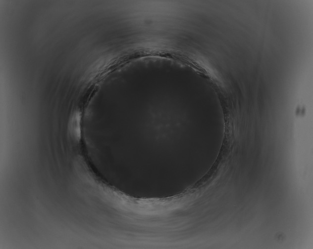 X0000091240022200708231727