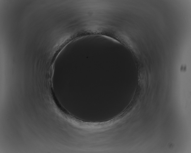 X0000091240023200708231727