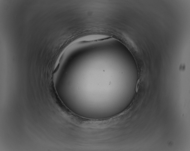 X0000091240025200708231727