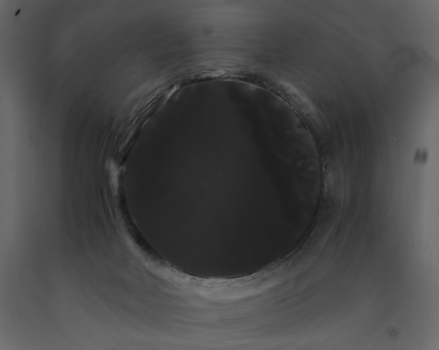 X0000091240026200708231727