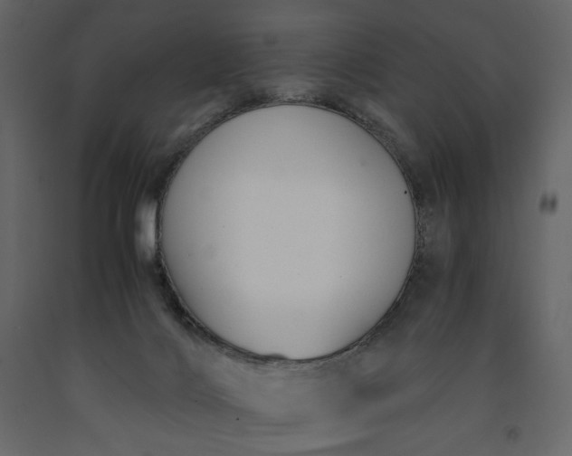 X0000091240028200708231727