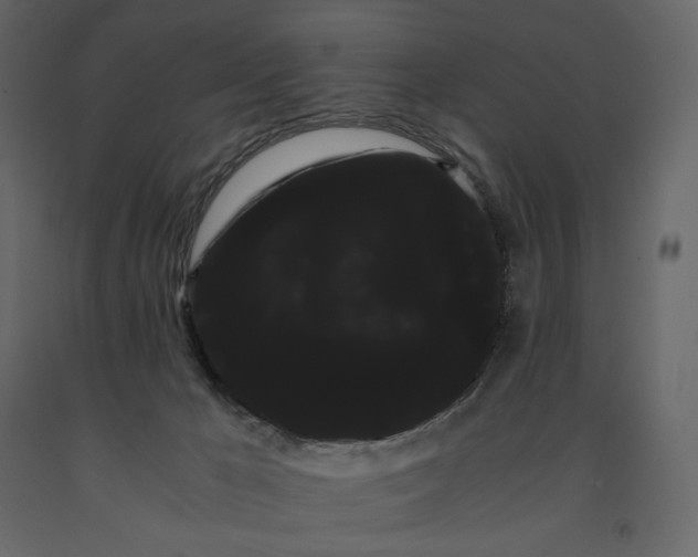 X0000091240029200708231727