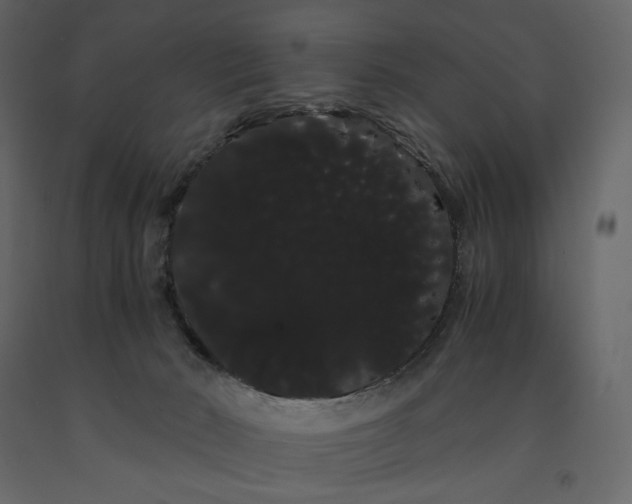 X0000091240030200708231727