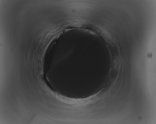 X0000091240031200708231727