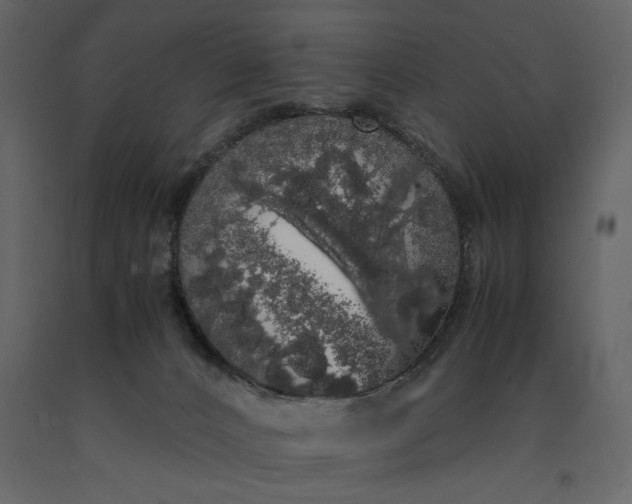 X0000091240032200708231727