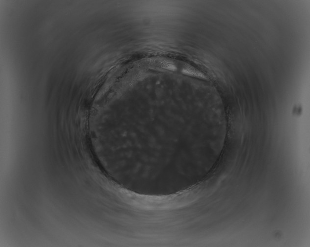 X0000091240034200708231727