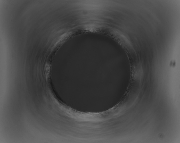 X0000091240036200708231727