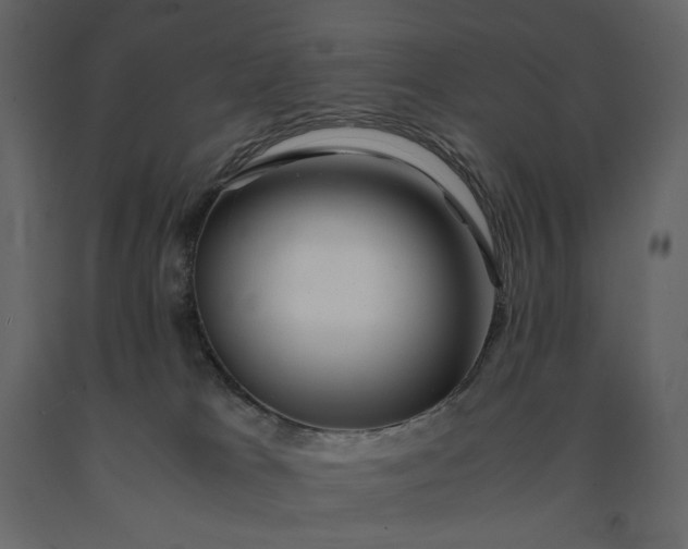 X0000091240037200708231727