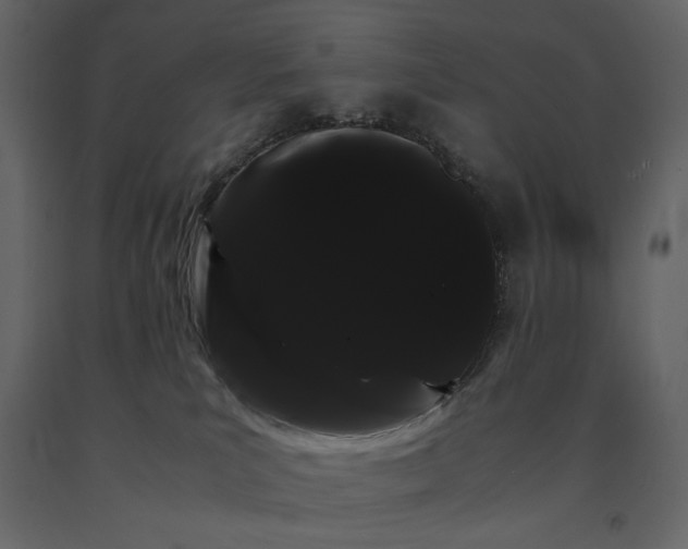 X0000091240039200708231727