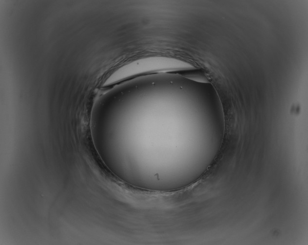 X0000091240040200708231727