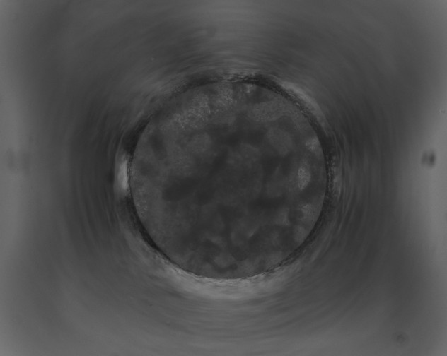 X0000091240042200708231727