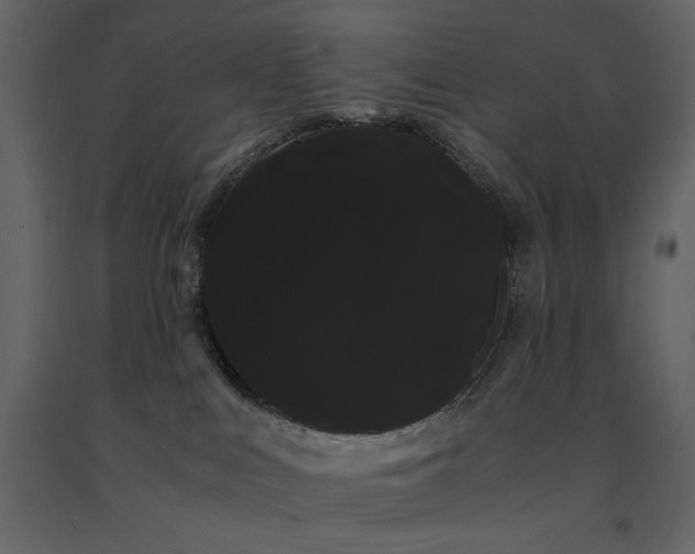 X0000091240043200708231727