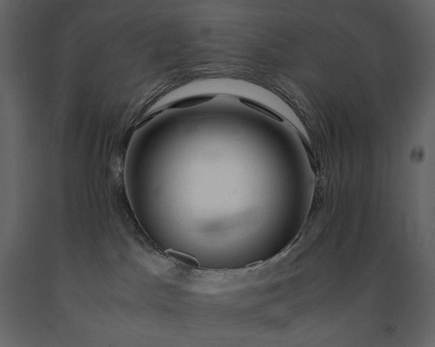 X0000091240045200708231727