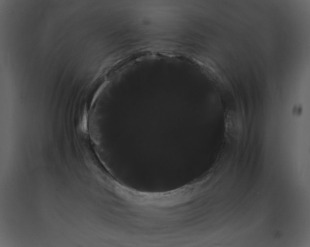X0000091240046200708231727