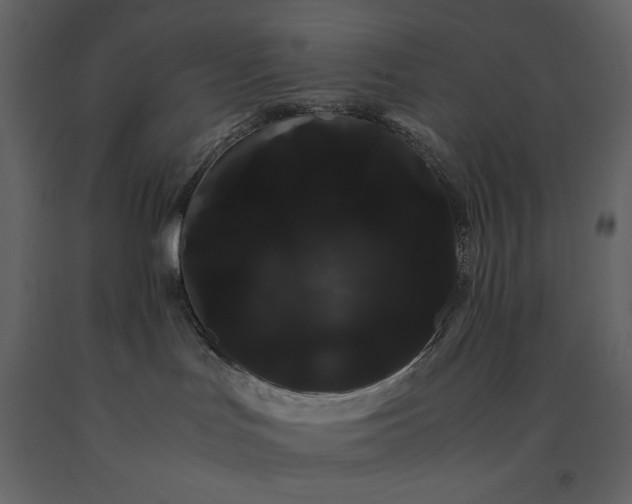 X0000091240047200708231727