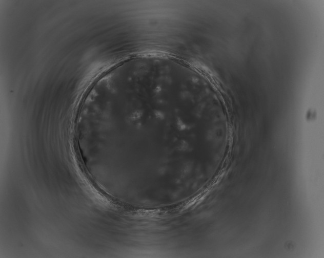 X0000091240049200708231726