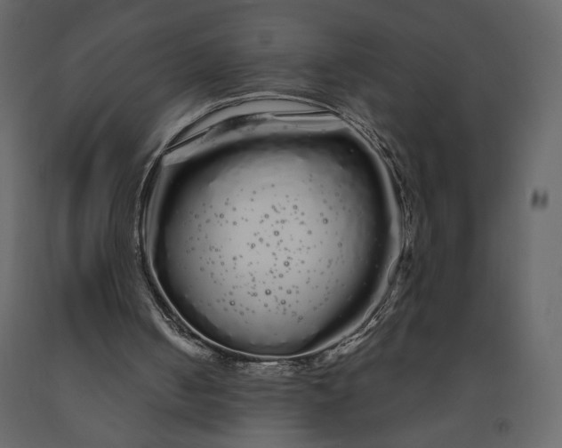 X0000091240050200708231726