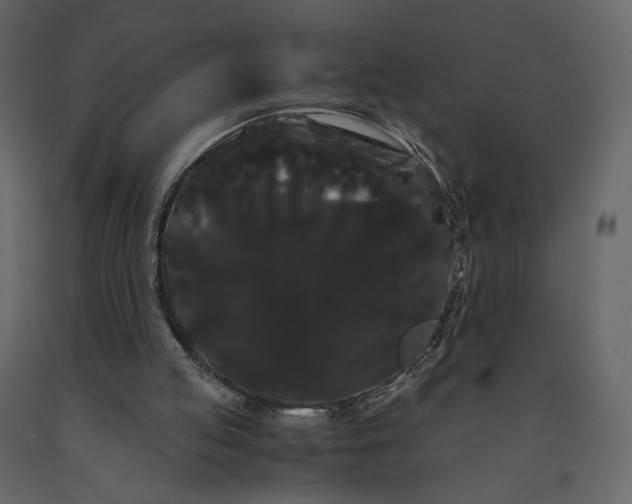 X0000091240053200708231726