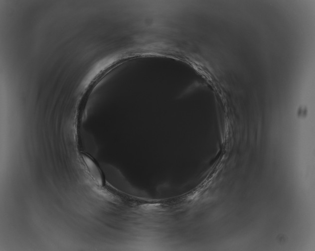 X0000091240054200708231726