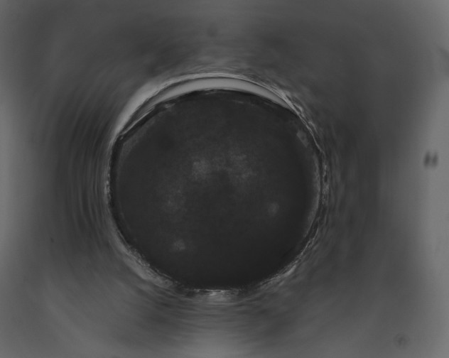 X0000091240056200708231726