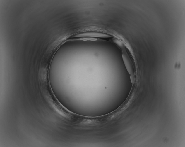 X0000091240057200708231726