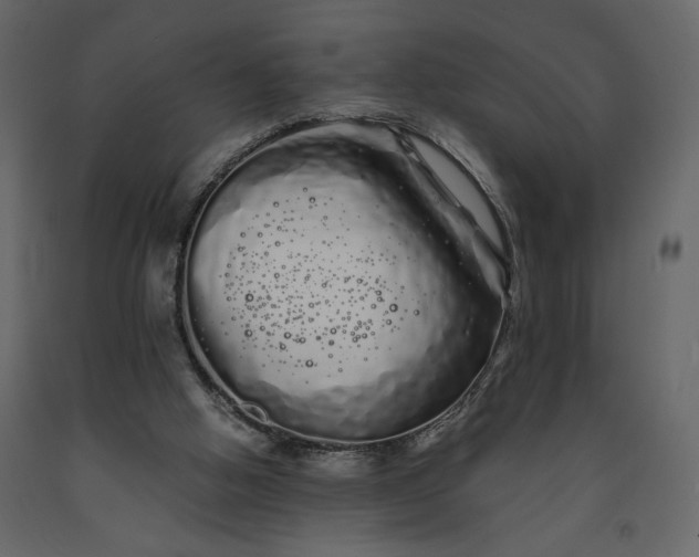 X0000091240058200708231726