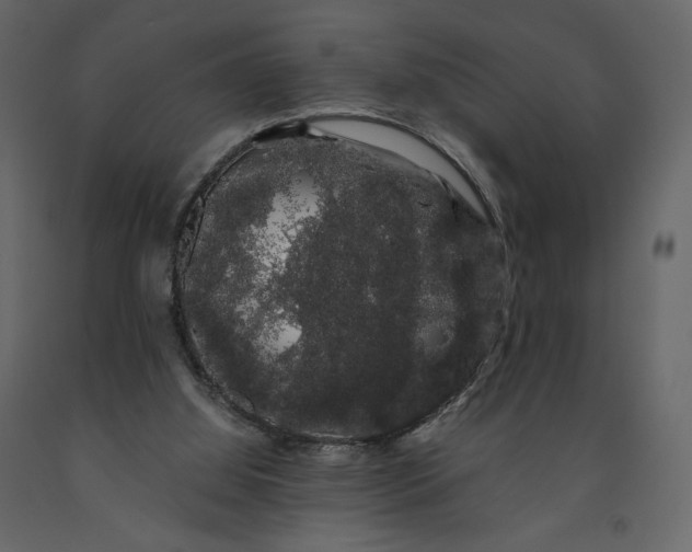 X0000091240060200708231726