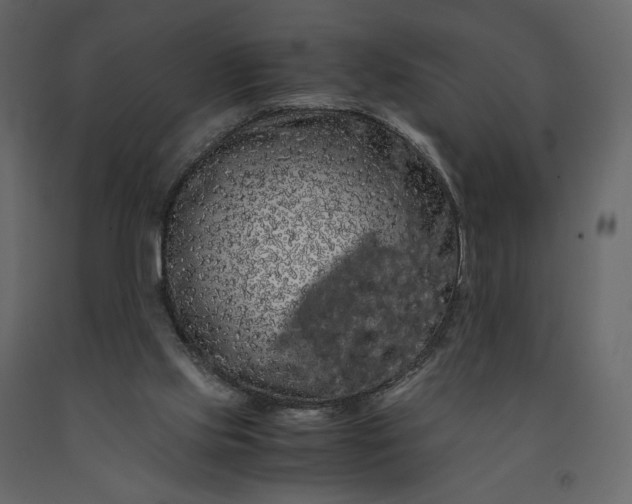 X0000091240061200708231726