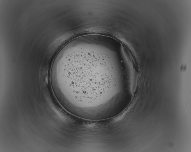 X0000091240062200708231726