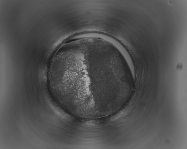 X0000091240064200708231727