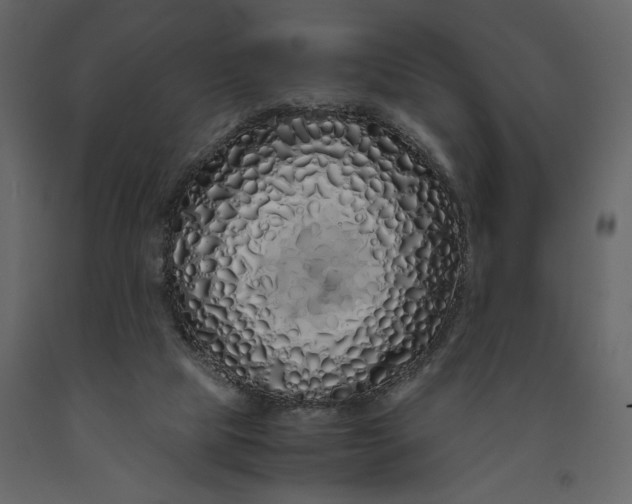 X0000091240065200708231727