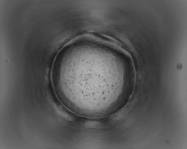 X0000091240066200708231727
