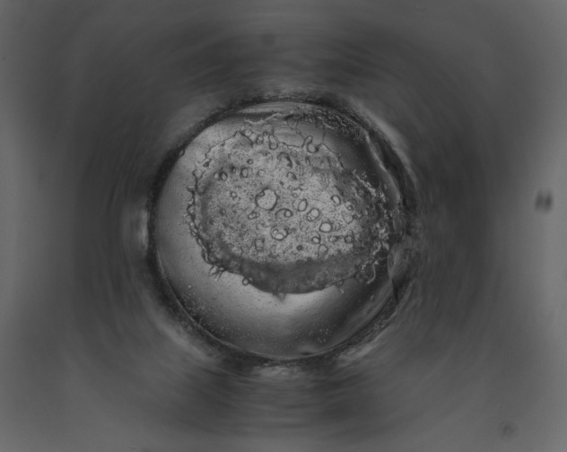 X0000091240067200708231727